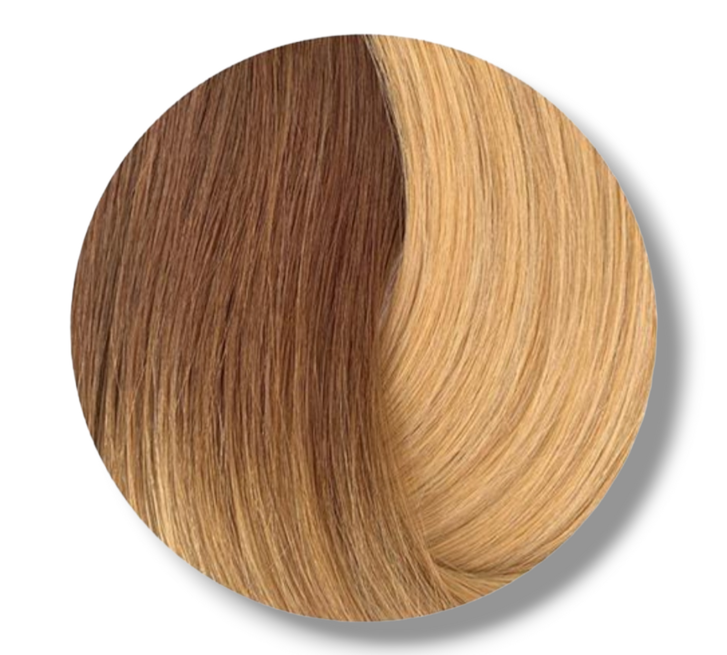 ShowPony hair extentions (klips)